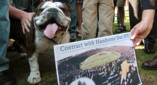Illustration for article titled Bulldog Mascots Are Doomed, Flatulent, And Beloved